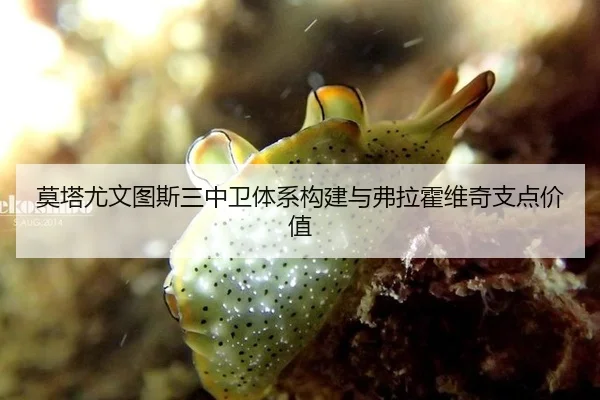 莫塔尤文图斯三中卫体系构建与弗拉霍维奇支点价值