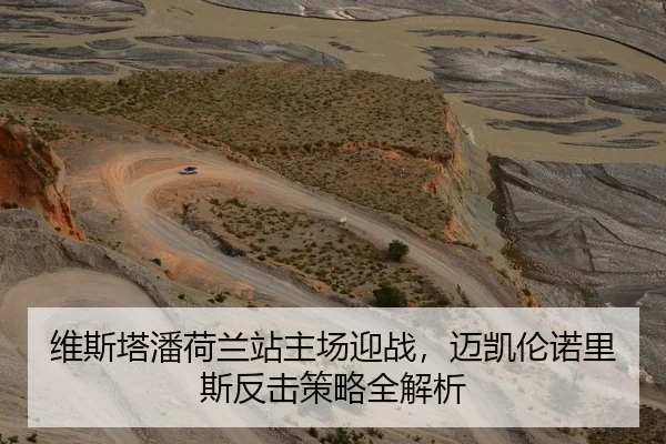 维斯塔潘荷兰站主场迎战，迈凯伦诺里斯反击策略全解析