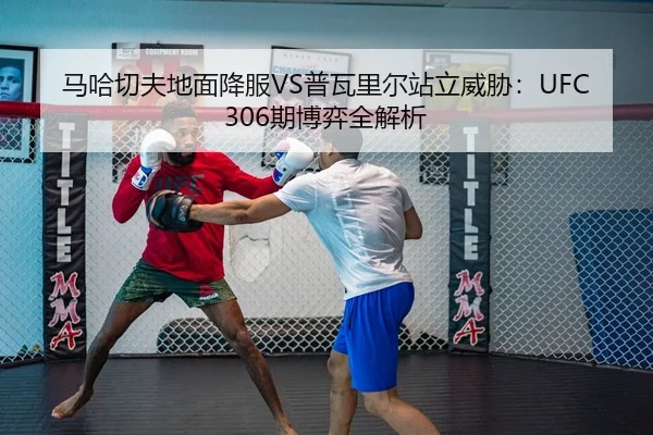 马哈切夫地面降服VS普瓦里尔站立威胁：UFC306期博弈全解析
