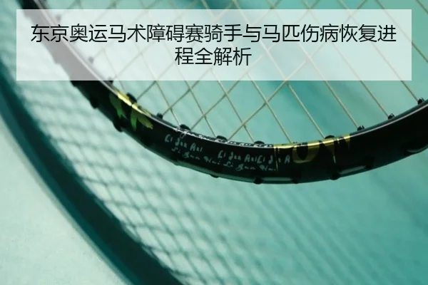 东京奥运马术障碍赛骑手与马匹伤病恢复进程全解析