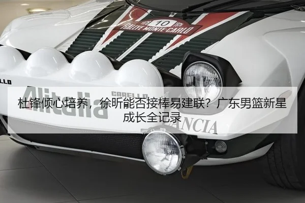 杜锋倾心培养，徐昕能否接棒易建联？广东男篮新星成长全记录