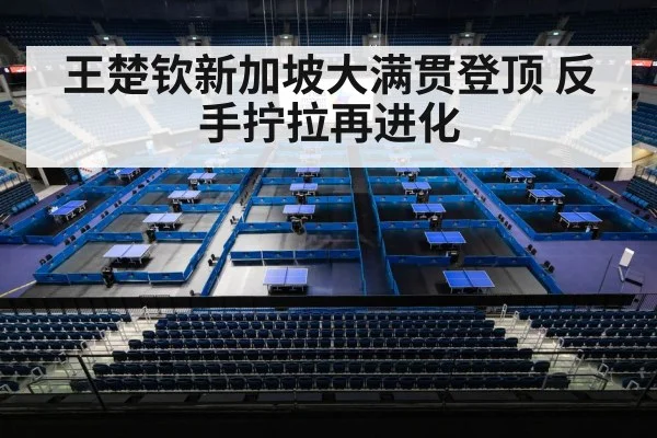 Singapore Smash table tennis